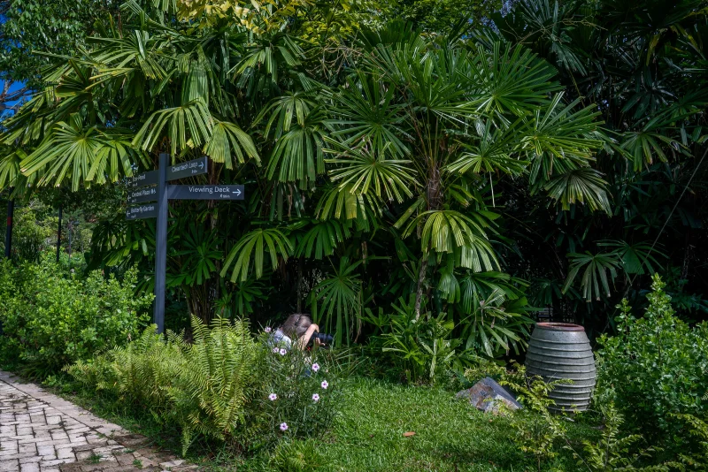 20260124-west-side-art-tour_web-061